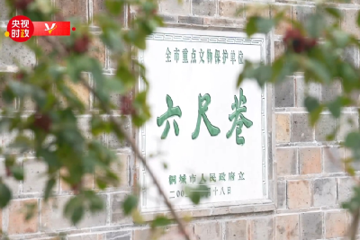 习近平安徽行丨礼之用 和为贵——走进桐城市六尺巷