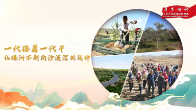 【习声回响】一代接着一代干 让绿洲不断向沙漠深处延伸