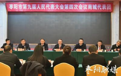 【聚焦两会】孔令波参加市九届人大四次会议南城、王城代表团审议