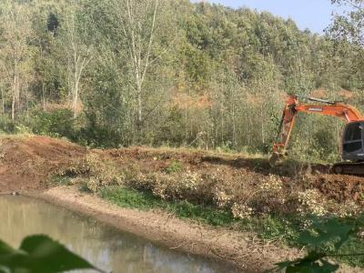 鹿头镇：筑牢防汛安全“堤坝” 保障群众生命财产安全