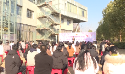 V视 | 市总工会举办“会聚良缘缘来是你”青年职工联谊活动