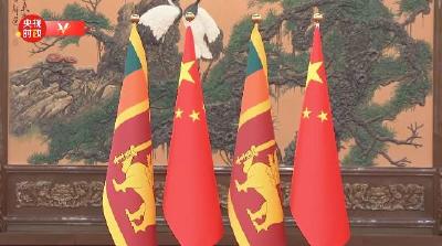 独家视频丨习近平：为两国关系发展擘画新愿景 推动中斯友好合作取得新的更大成果