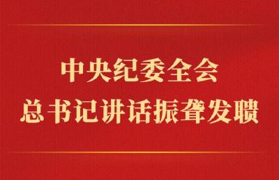 第一观察丨中央纪委全会，总书记讲话振聋发聩