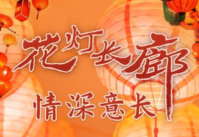 学习进行时丨花灯长廊 情深意长