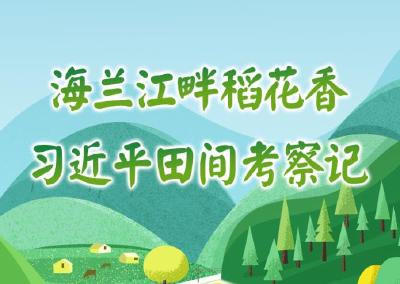 学习·故事丨海兰江畔稻花香 习近平田间考察记