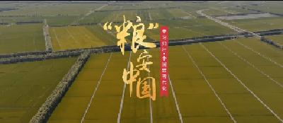 学习知行·中国式现代化丨“粮”安中国