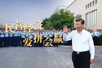 总书记关心的事丨民营经济爱拼会赢 