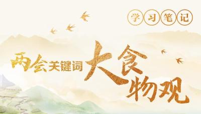 奋进的春天｜粮食连年丰收，还需要大食物观吗？