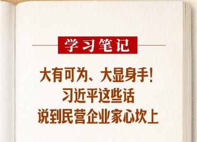 学习笔记丨大有可为、大显身手！习近平这些话说到民营企业家心坎上