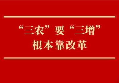 第一观察｜“三农”要“三增”　根本靠改革