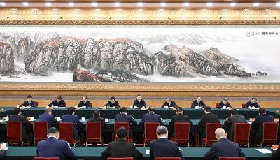爱拼就会赢！民营企业大显身手正当其时
