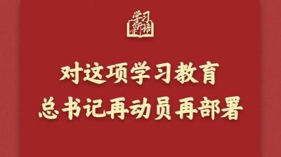 学习新语｜对这项学习教育，总书记再动员再部署
