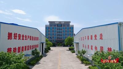 【花开帝乡】巾帼绽芳华 毫厘见匠心