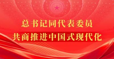 总书记同代表委员共商推进中国式现代化