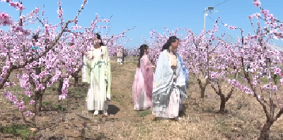 V视 |熊集镇：万亩桃花迎客来  农旅融合促振兴
