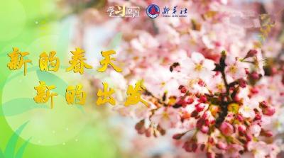学习原声｜新的春天 新的出发