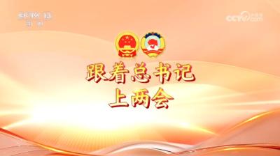 跟着总书记上两会｜如何推动区域协调发展？代表委员这样说