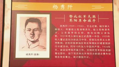 【枣阳英烈谱】杨秀阡