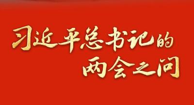 习近平总书记的两会之问