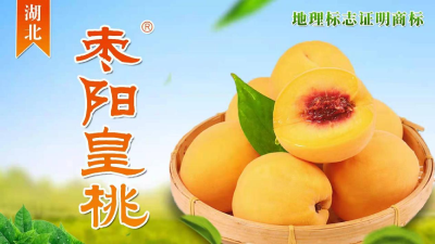 赋能“桃经济”  打造“枣阳皇桃”区域公用品牌
