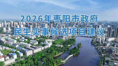 2026年枣阳市政府民生实事候选项目建议