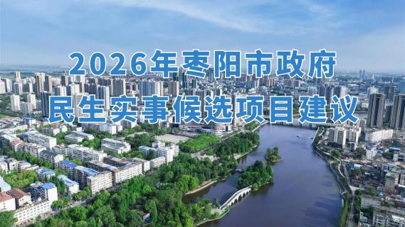 2026年枣阳市政府民生实事候选项目建议