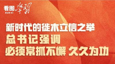 看图学习丨新时代的徙木立信之举 总书记强调必须常抓不懈 久久为功