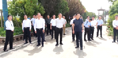 V视 | 海南省三亚市吉阳区党政代表团来我市考察