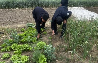 新市镇开展禁种铲毒专项行动