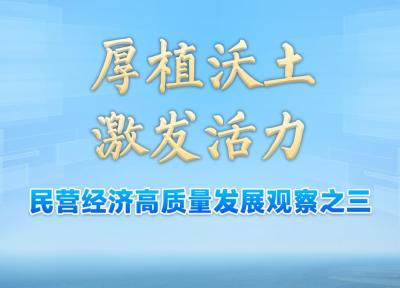 习近平总书记关切事｜厚植沃土，激发活力——民营经济高质量发展观察之三