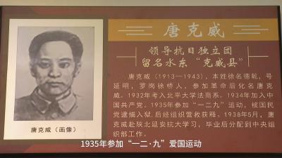 【枣阳英烈谱】唐克威