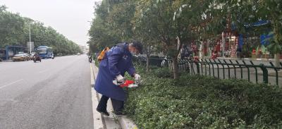 枣阳市：“梳妆”城区绿地    提升城市“颜值”