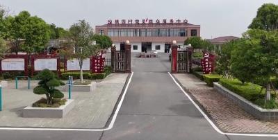 V视 | 杨垱镇桃园村：强党建  聚民心  兴产业