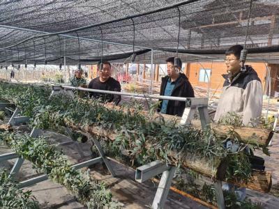 枣阳太平镇：为年轻干部扣好廉洁从政“第一粒扣子”