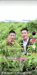 从300到4000+，单条播放破百万！枣阳数字经济产业园打造新农人IP