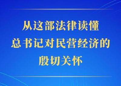 第一观察｜从这部法律读懂总书记对民营经济的殷切关怀