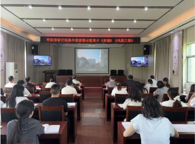 枣阳市审计局：铸牢廉洁审计防线 涵养清正政治生态