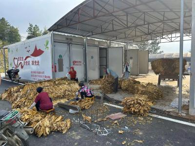 吴店镇：务本务实求实绩 乡村振兴谱新篇
