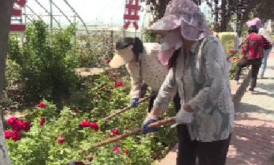 V视 | 南城办事处惠岗社区马家营：扮靓乡村迎游客