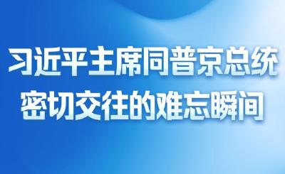 第一观察｜习近平主席同普京总统密切交往的难忘瞬间