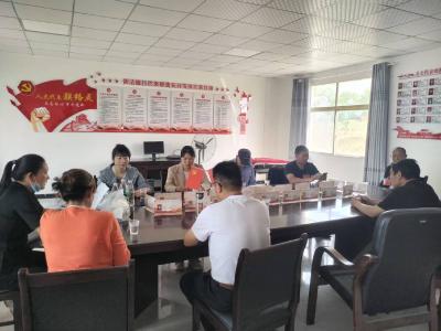 新市镇人大：“小切口”展现履职为民“大作为​”
