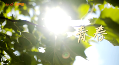 闪耀的青春 