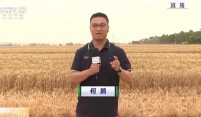 V视 | 央视直播！我市小麦大规模开镰  跨区机收由南向北展开