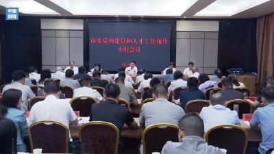 V视 | 2025年市委党建和人才工作领导小组会议召开