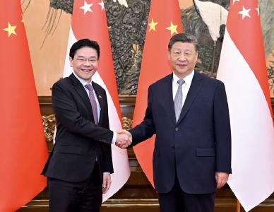 联播+｜中新合作树标杆