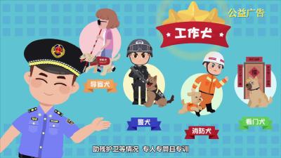 【公益广告】文明养犬 责任在肩 关爱相伴