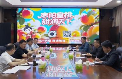 V视 | 市委召开专题会议研究“枣阳皇桃”供应链建设工作