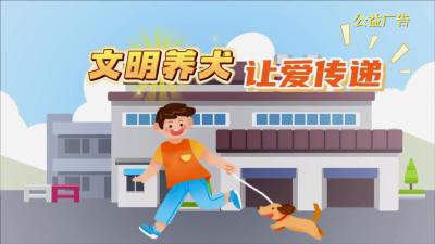 【公益广告】文明养犬 让爱传递