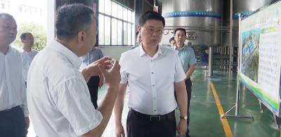 V视 | 杨晶到学习教育联系点吴店镇调研时强调  要树立远大目标、转变工作作风、提升能力本领，切实把学习教育成果转化为推动发展的实际成效