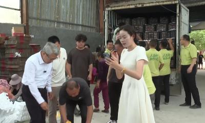 V视 | 邮政搭台  主播卖桃  助力“枣阳皇桃”销售